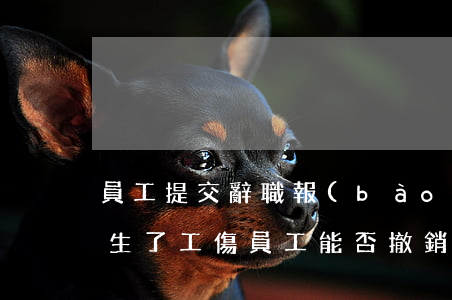 員工提交辭職報(bào)告后發(fā)生了工傷，員工能否撤銷辭職？